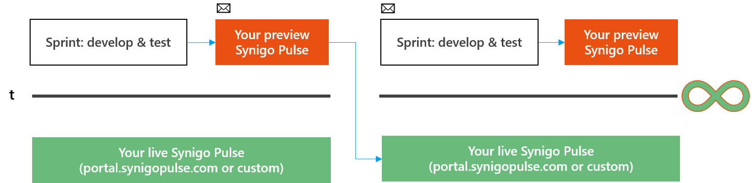 Figure 1 Release structure of Synigo Pulse